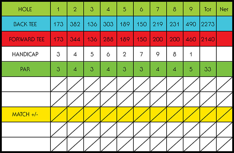 Scorecard Sample
